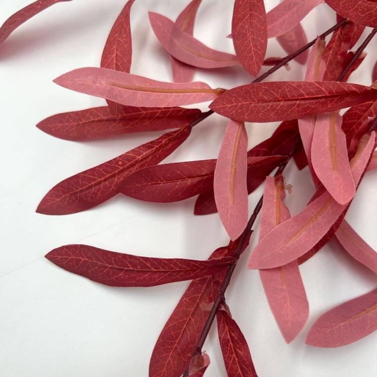 Загружен программно: img_1826.jpg