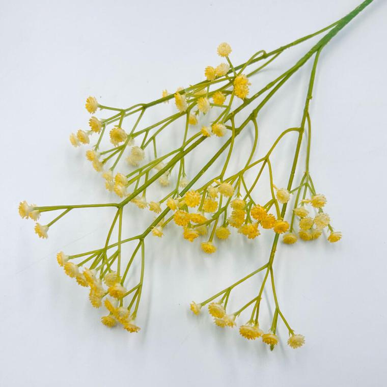 Загружен программно: img_1830.jpg