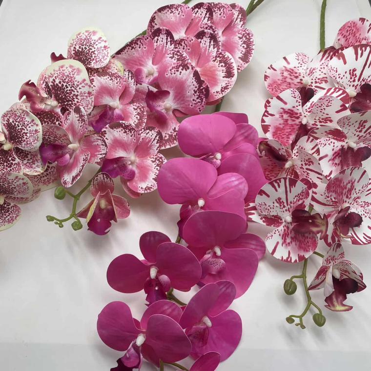 Загружен программно: img_2049_1.jpg