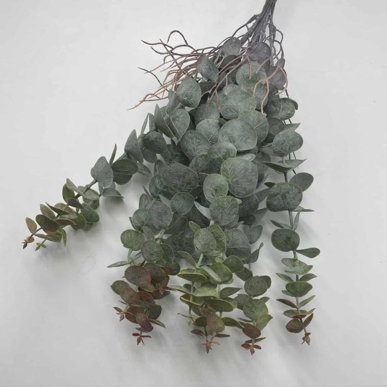 Загружен программно: img_2081.jpg