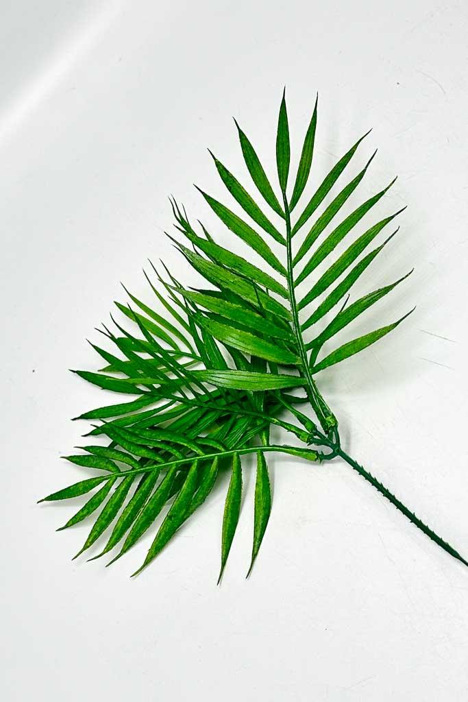 Загружен программно: img_2194.jpg