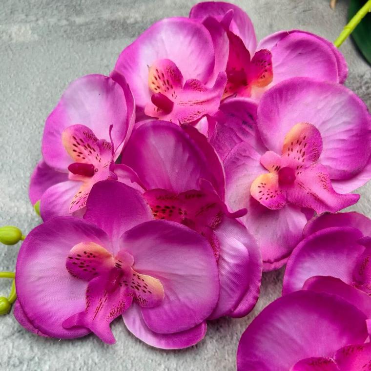 Загружен программно: img_2275_-_krupnyy_razmer.jpeg