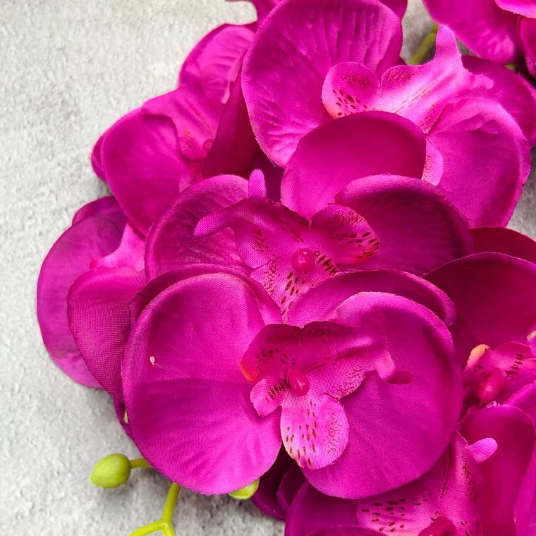 Загружен программно: img_2277_-_krupnyy_razmer.jpeg