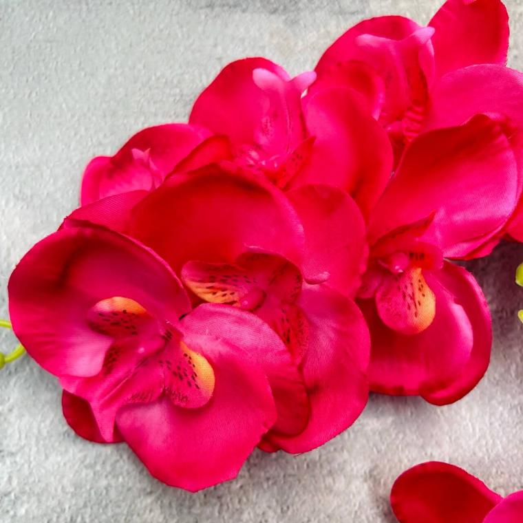 Загружен программно: img_2284_-_krupnyy_razmer.jpeg