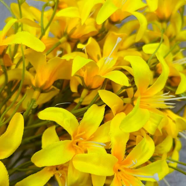 Загружен программно: img_2315_-_sredniy_razmer.jpeg