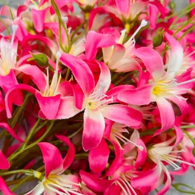 Загружен программно: img_2317_-_sredniy_razmer.jpeg