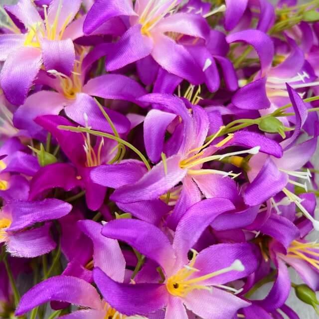 Загружен программно: img_2323_-_sredniy_razmer.jpeg