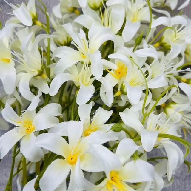 Загружен программно: img_2325_-_sredniy_razmer.jpeg