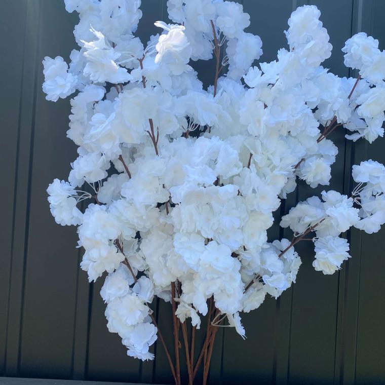 Загружен программно: img_2333.jpg