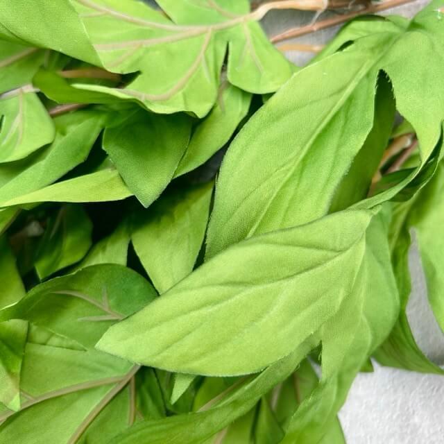 Загружен программно: img_2352_-_sredniy_razmer.jpeg