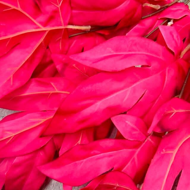 Загружен программно: img_2356_-_sredniy_razmer.jpeg