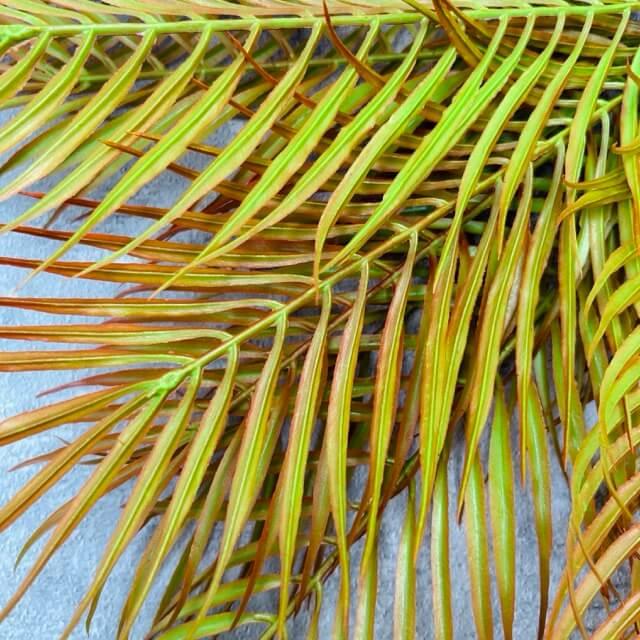 Загружен программно: img_2399_-_sredniy_razmer_0.jpeg