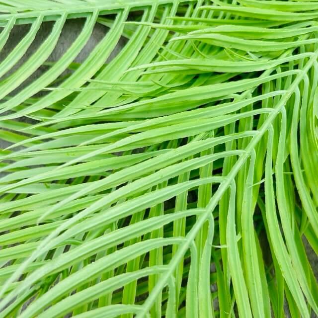 Загружен программно: img_2405_-_sredniy_razmer.jpeg