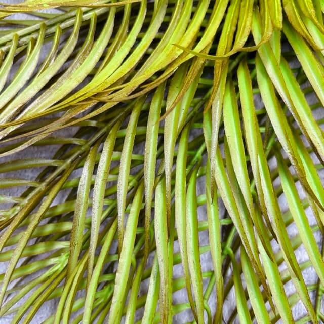 Загружен программно: img_2409_-_sredniy_razmer.jpeg