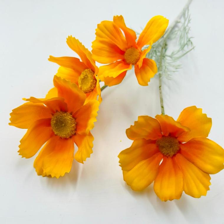 Загружен программно: img_2661_-_krupnyy_razmer.jpeg