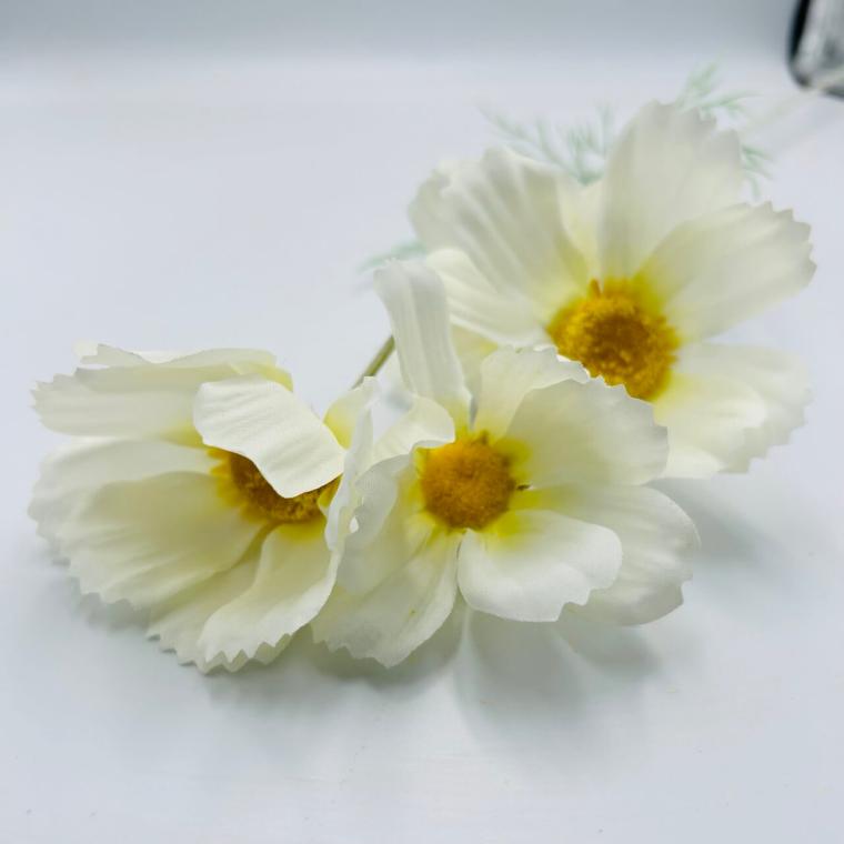 Загружен программно: img_2666_-_krupnyy_razmer.jpeg