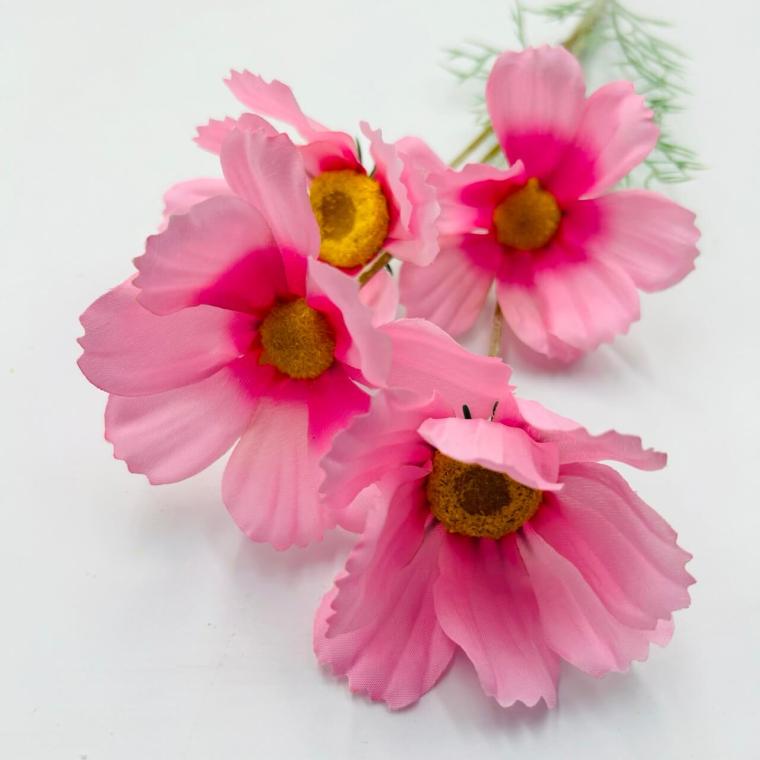 Загружен программно: img_2669_-_krupnyy_razmer.jpeg