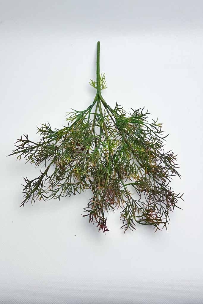 Загружен программно: img_2789.jpg