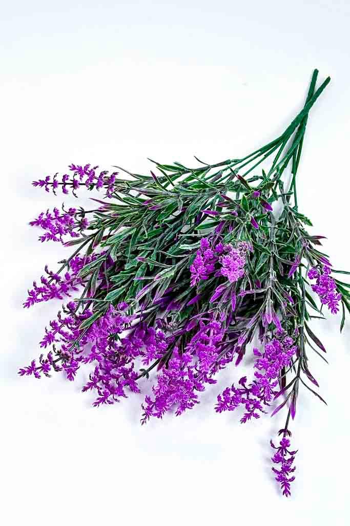 Загружен программно: img_2991_5.jpg