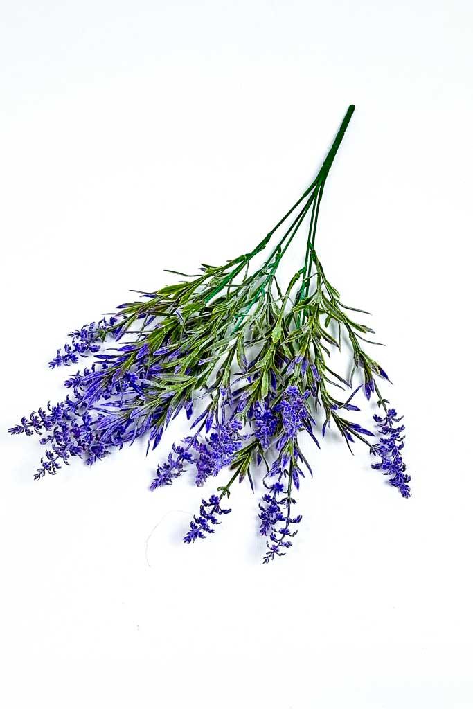 Загружен программно: img_3004.jpg