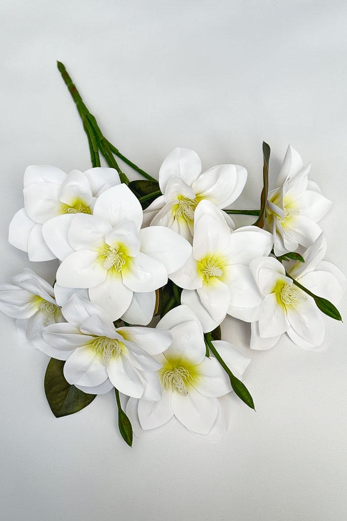 Загружен программно: img_3189.jpg