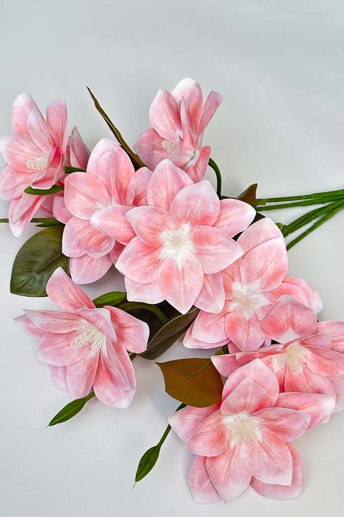 Загружен программно: img_3194.jpg