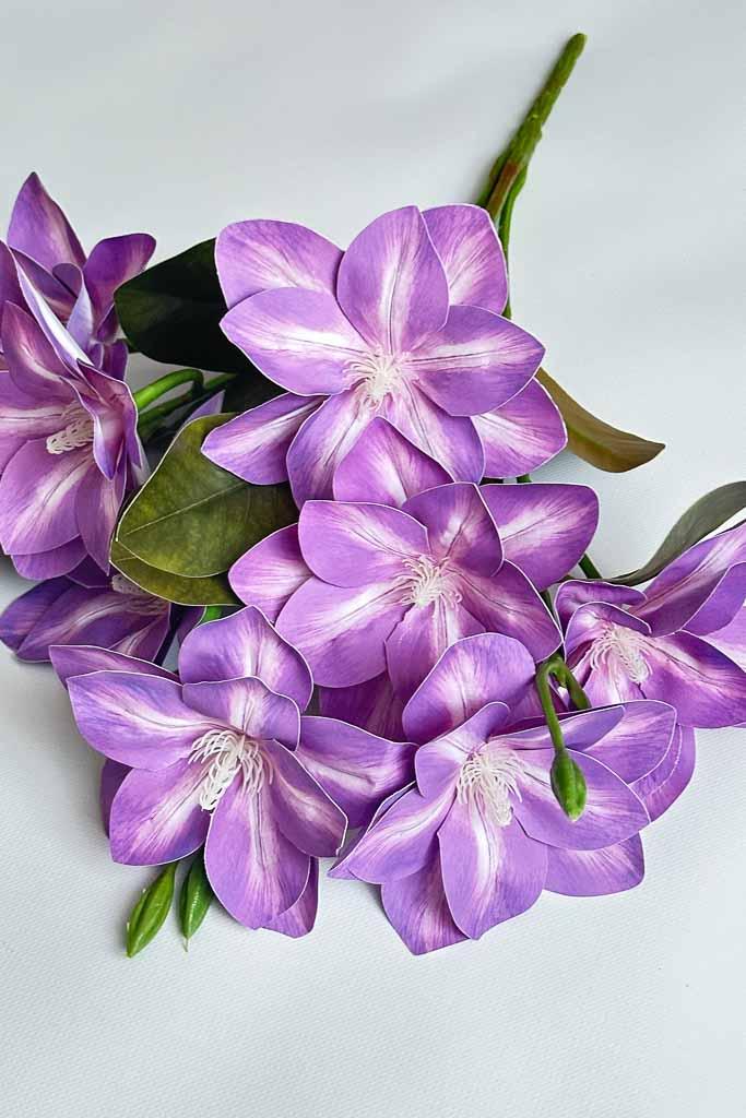 Загружен программно: img_3225.jpg