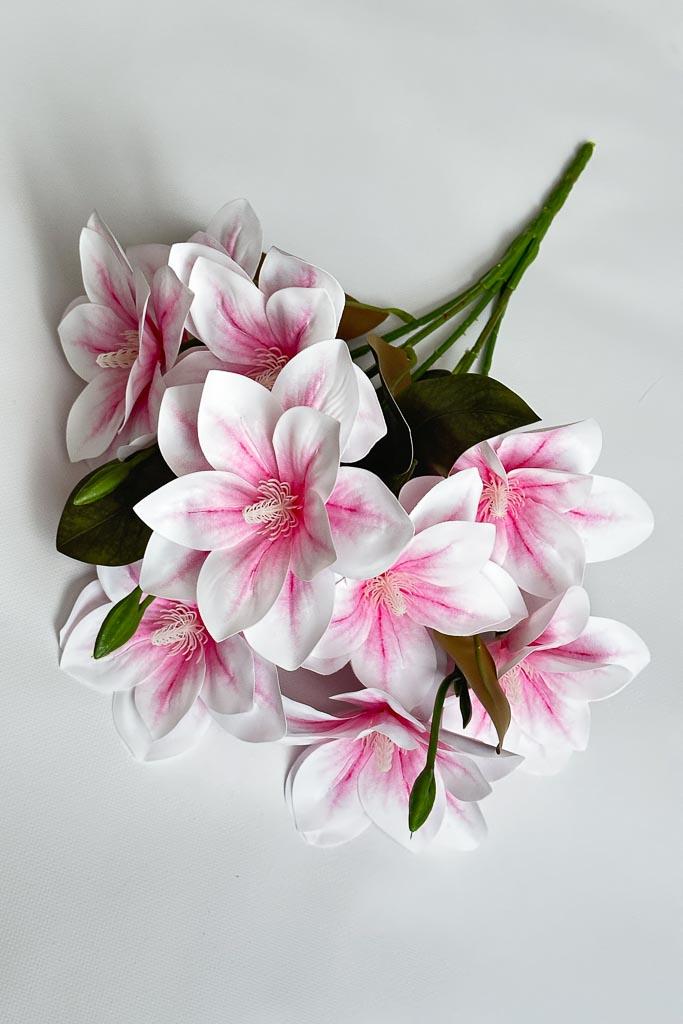 Загружен программно: img_3230.jpg