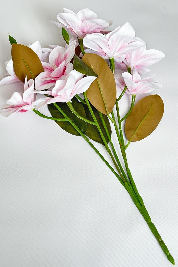 Загружен программно: img_3234.jpg