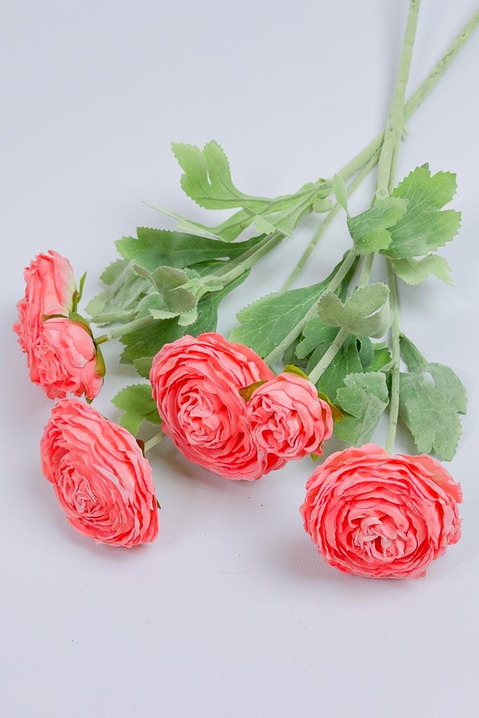 Загружен программно: img_3337.jpg