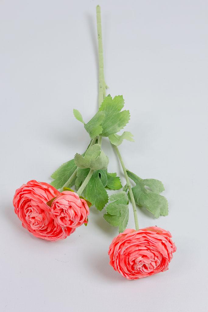 Загружен программно: img_3340.jpg