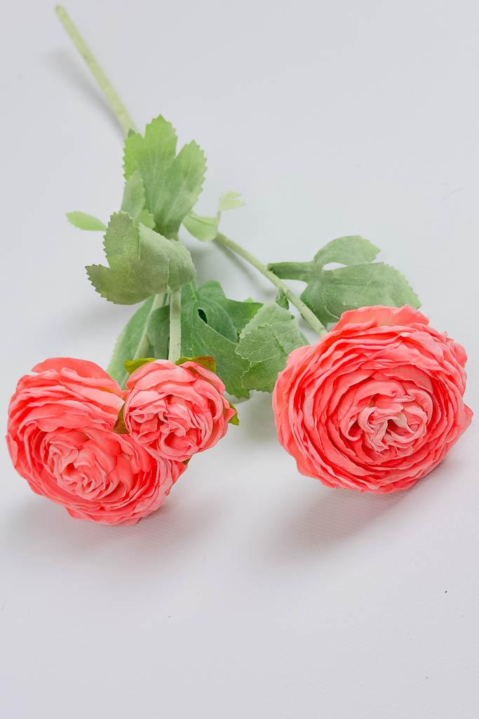 Загружен программно: img_3342.jpg