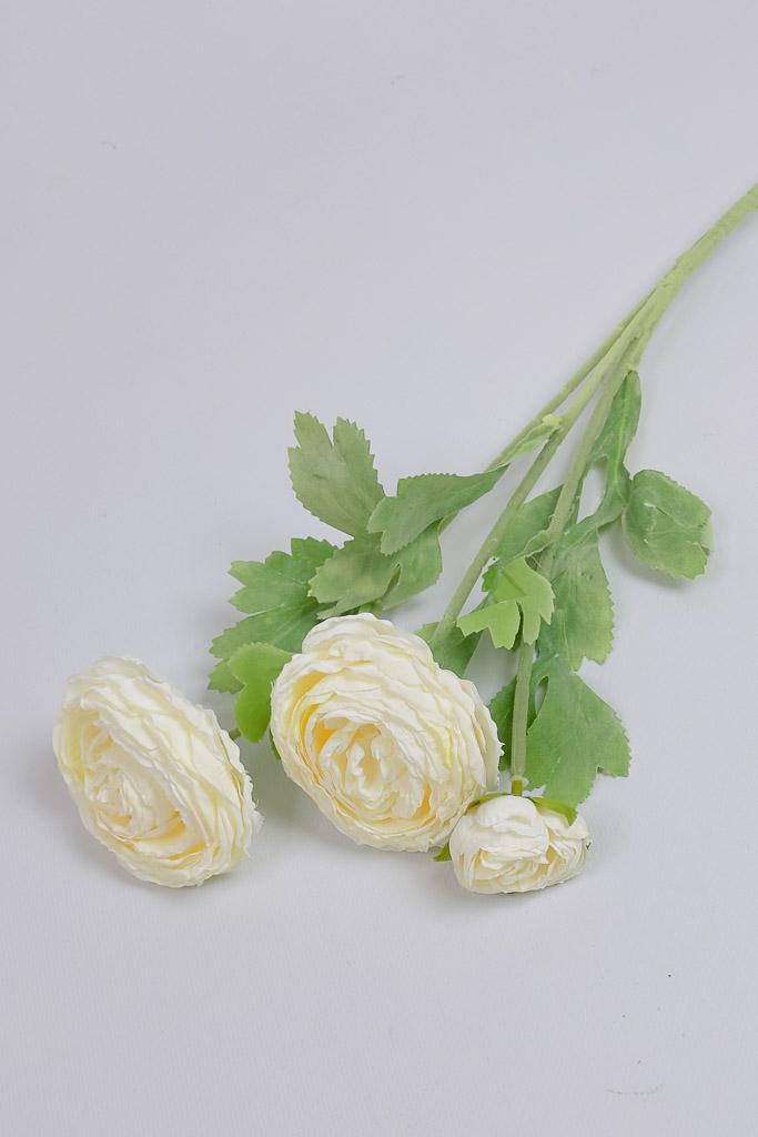 Загружен программно: img_3349.jpg