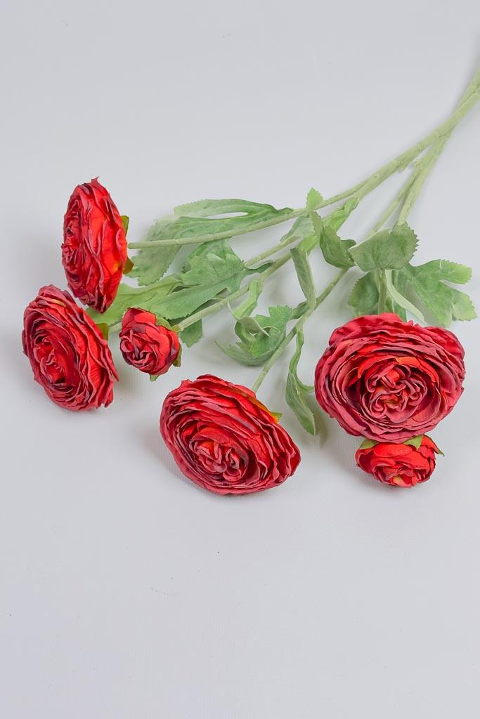 Загружен программно: img_3353.jpg