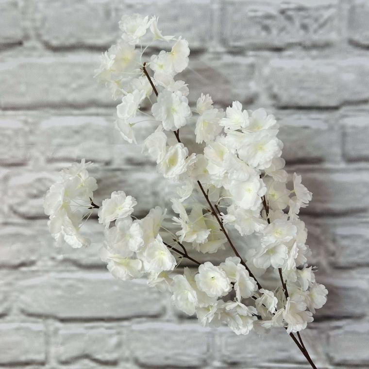 Загружен программно: img_3511.jpg