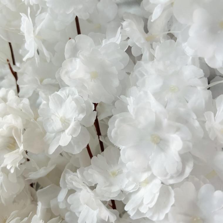 Загружен программно: img_3515_0.jpg