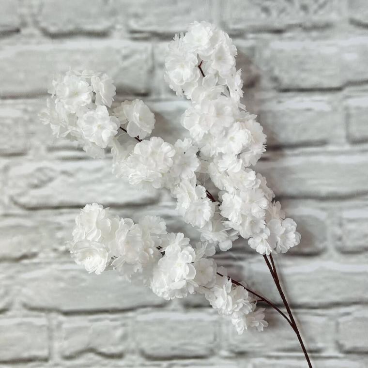 Загружен программно: img_3516_0.jpg