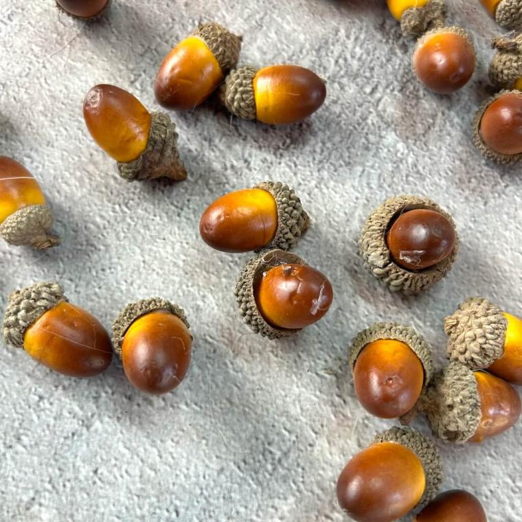 Загружен программно: img_3526_0.jpg