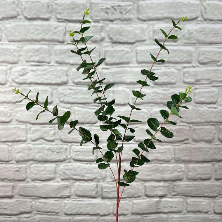 Загружен программно: img_3533.jpg