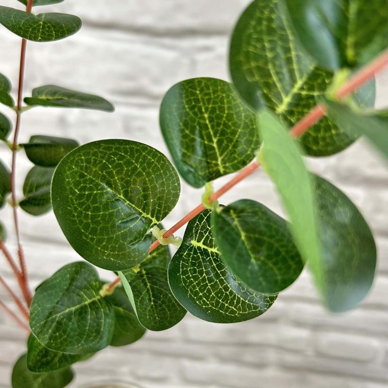 Загружен программно: img_3534.jpg