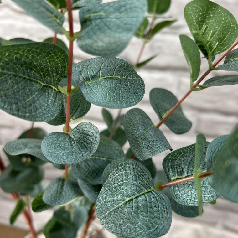 Загружен программно: img_3543.jpg