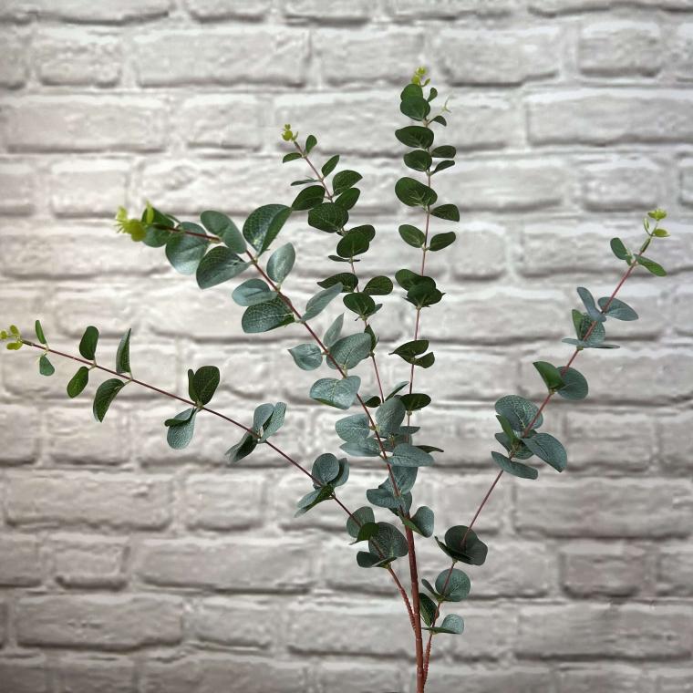 Загружен программно: img_3562.jpg