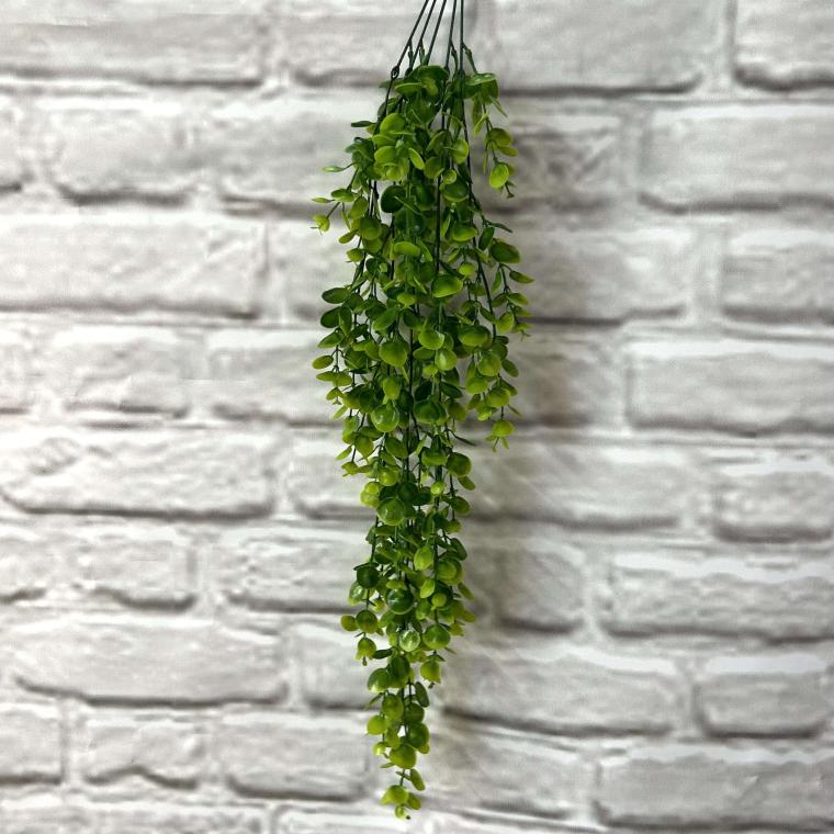 Загружен программно: img_3573.jpg