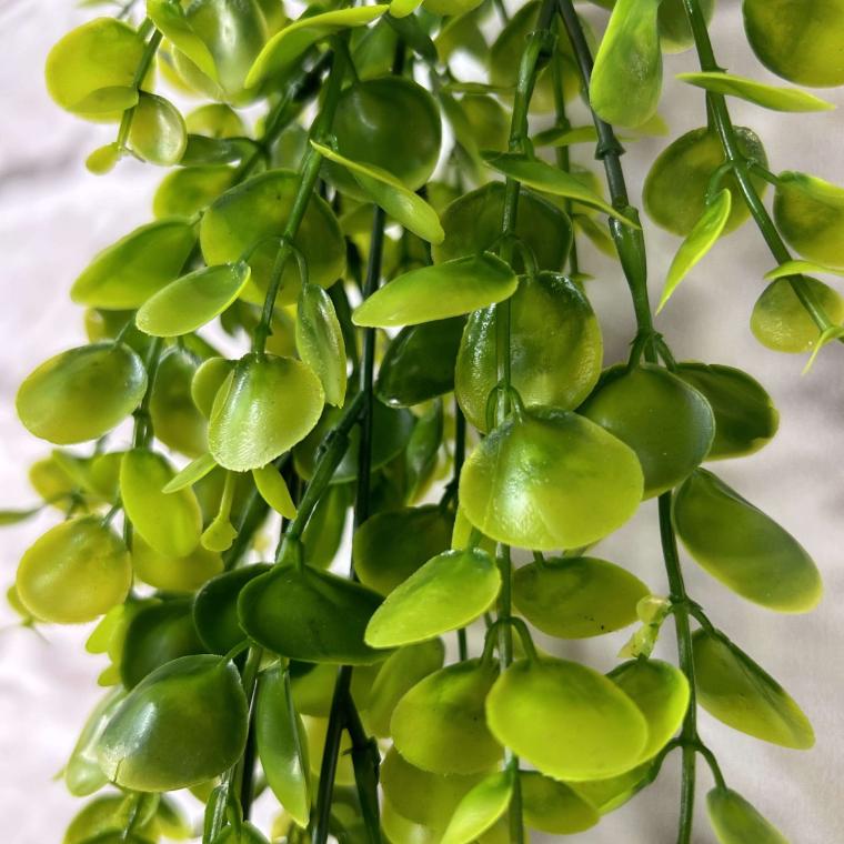 Загружен программно: img_3574.jpg