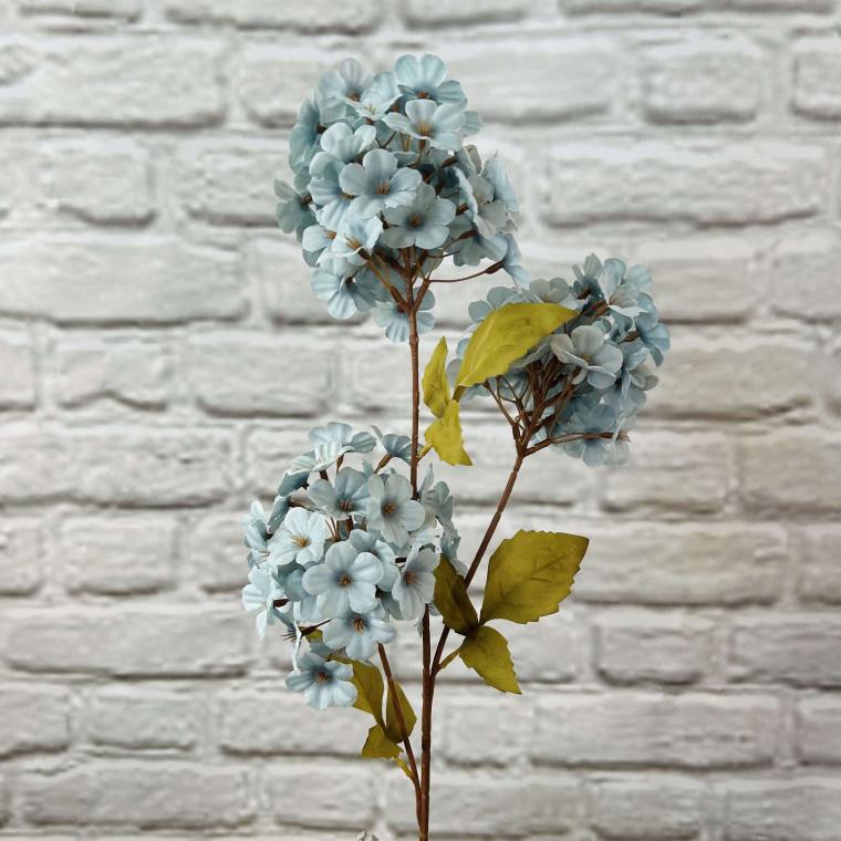 Загружен программно: img_3623.jpg