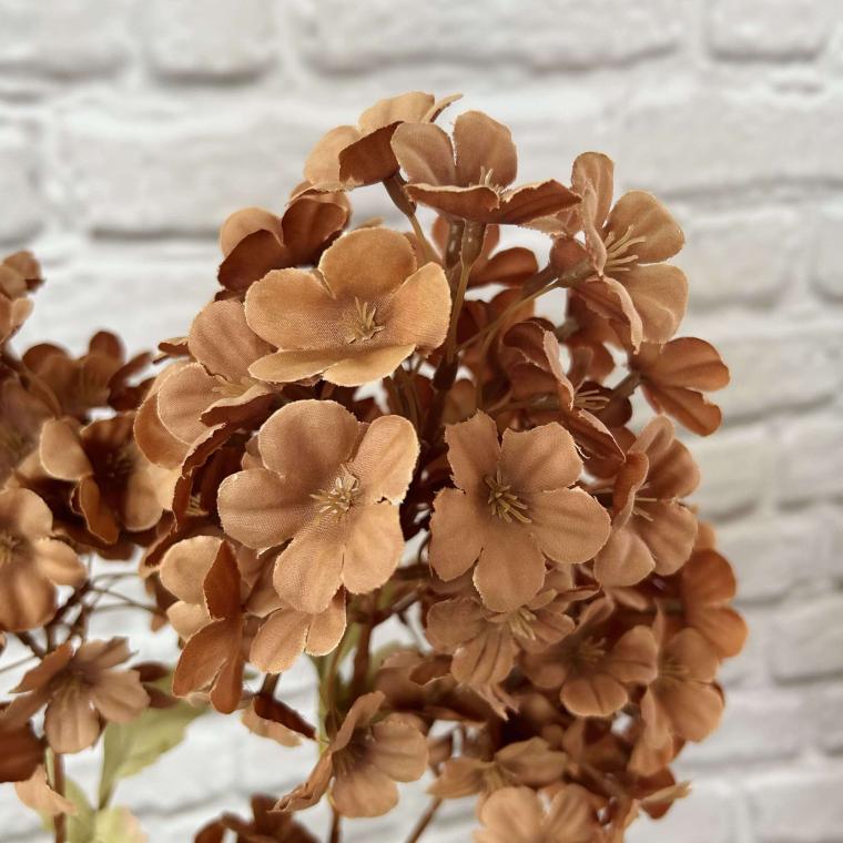 Загружен программно: img_3625.jpg