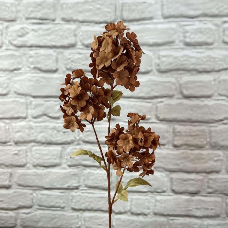 Загружен программно: img_3627.jpg