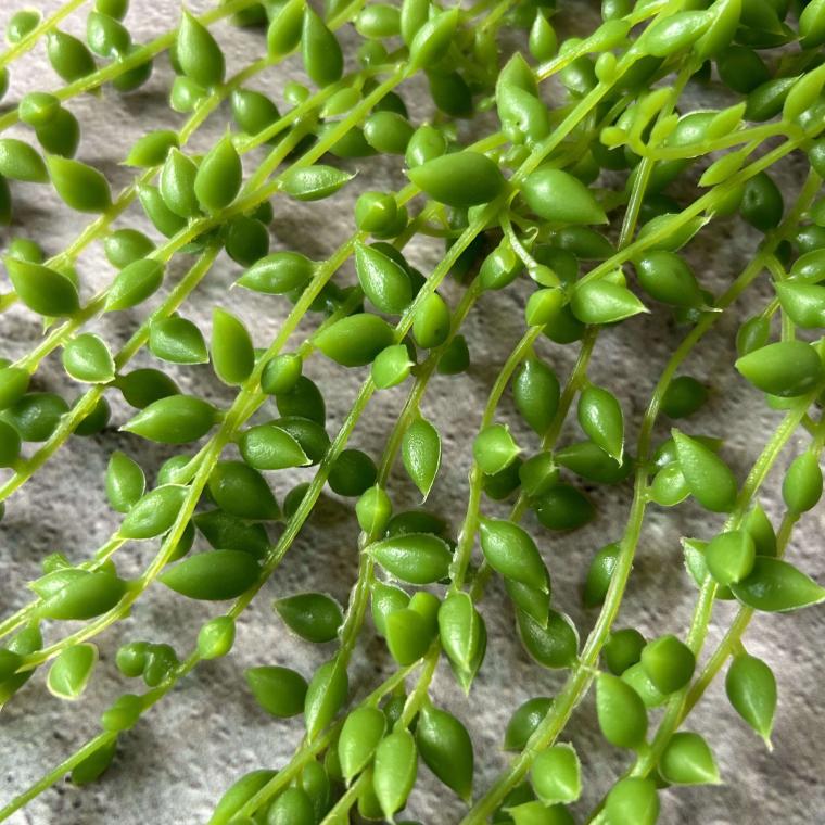 Загружен программно: img_3683.jpg