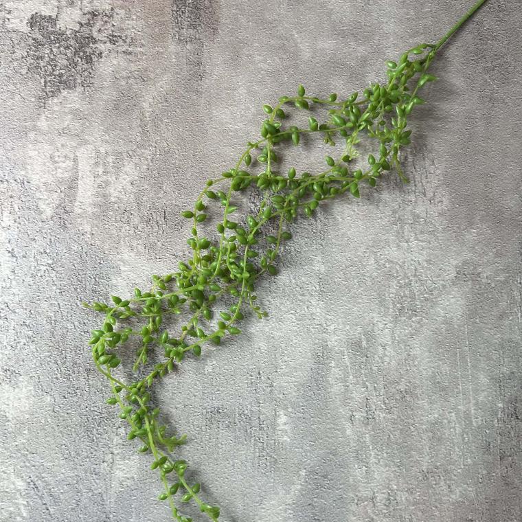 Загружен программно: img_3684.jpg