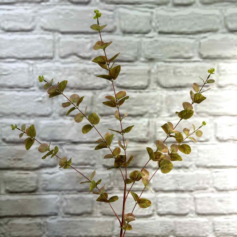 Загружен программно: img_3779.jpg